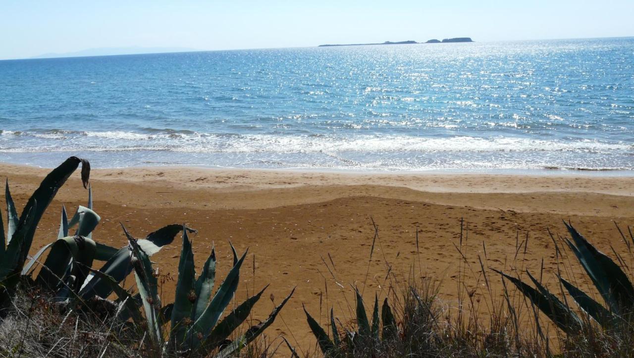 Villa Emmanouela Ξι Εξωτερικό φωτογραφία
